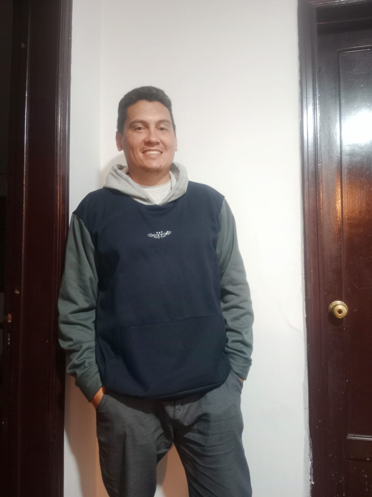 hoodies normales